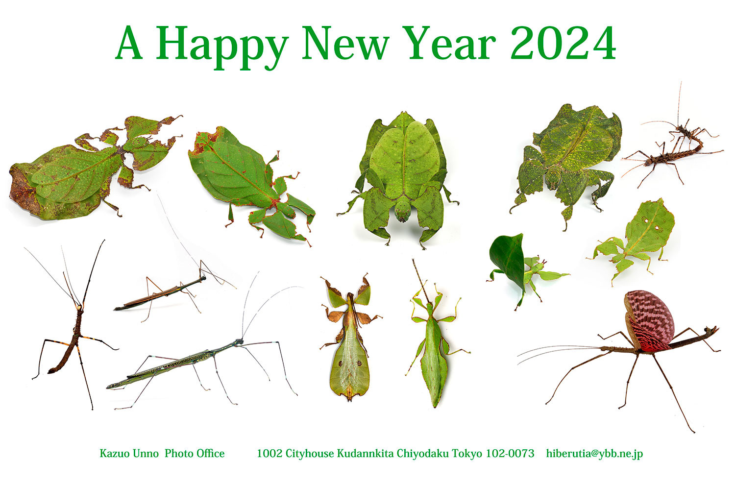 あけましておめでとうございます