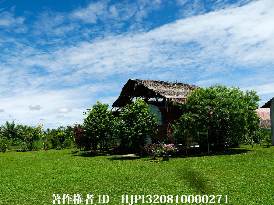 アレクサンドラトリバネアゲハの飼育施設