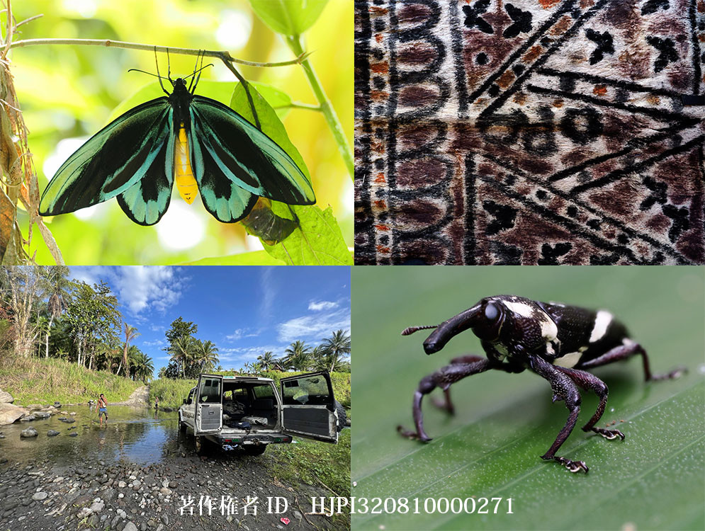 ニューギニアの思い出