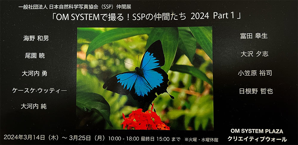 写真展SSPの仲間たち　2024 Part１