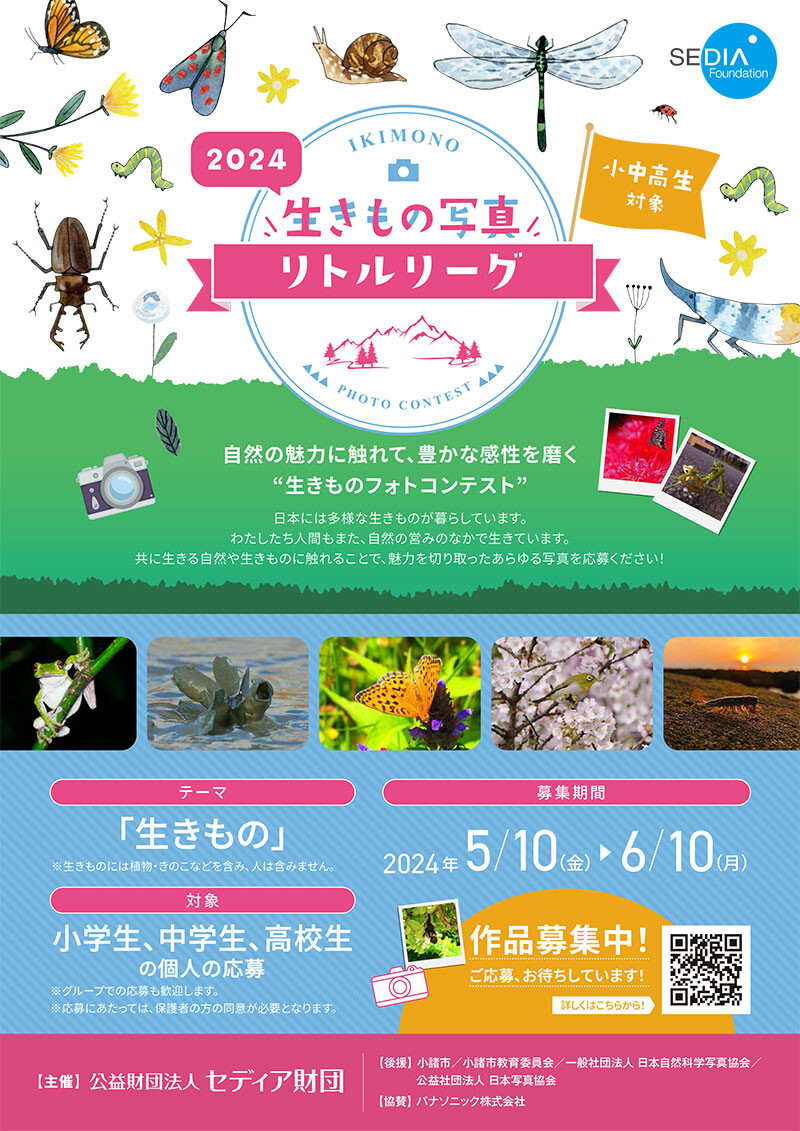 生き物写真リトルリーグ2024、是非ご応募をお願いいたします