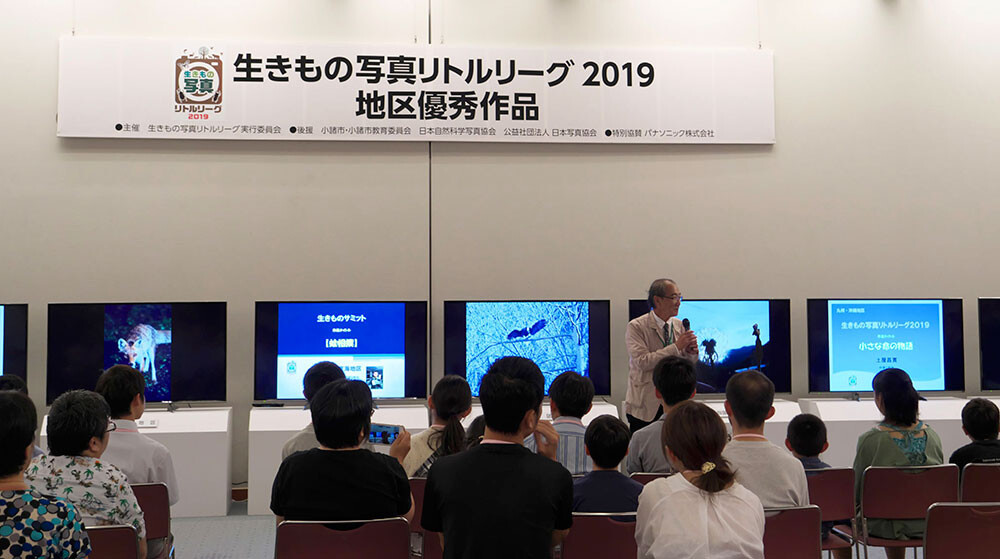生きもの写真リトルリーグ2024応募受付中／かって4Kテレビで行われていた生きもの写真リトルリーグの展示