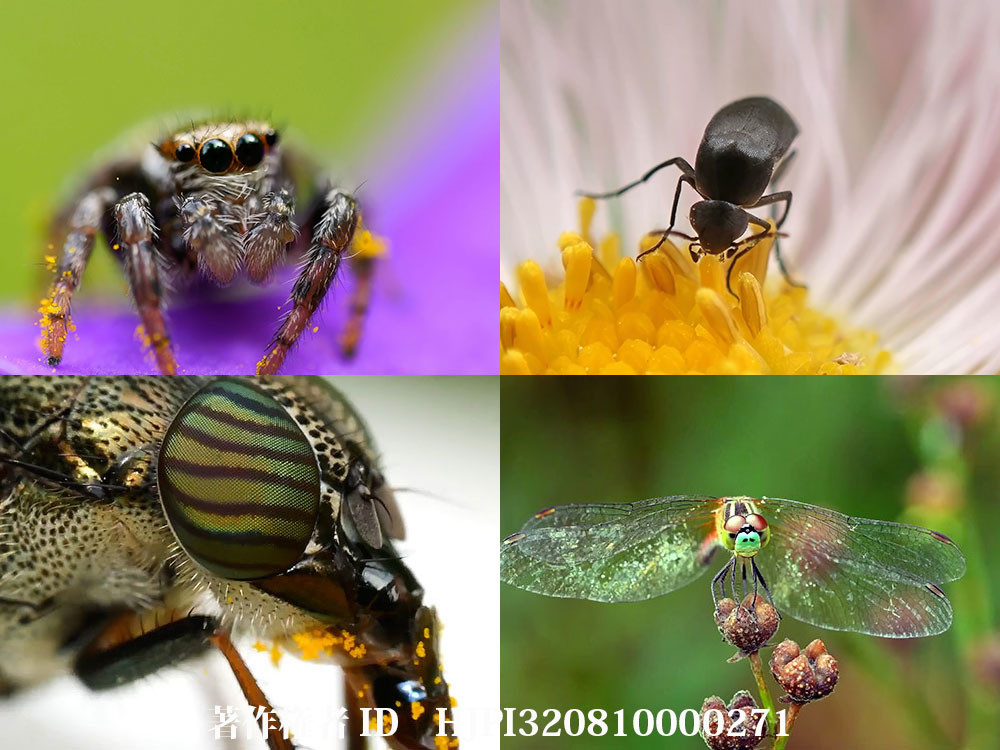 TG7 vs ミラーレス