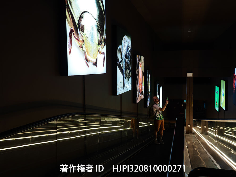 エントピアでのぼくの写真