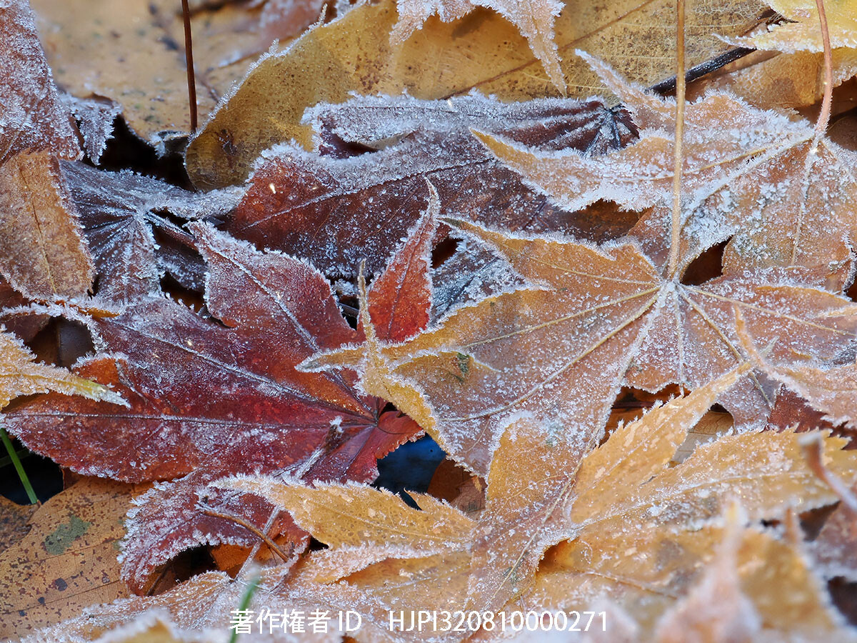 小諸は冷え込みが厳しい