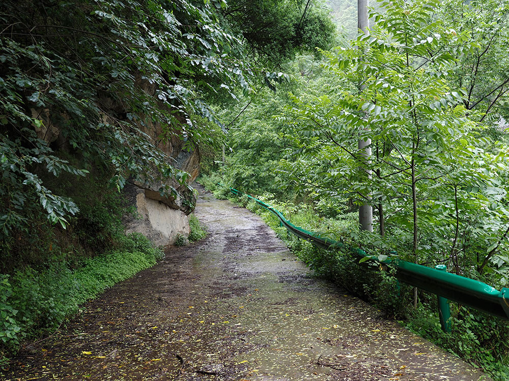 雲南省で蝶の多い場所
