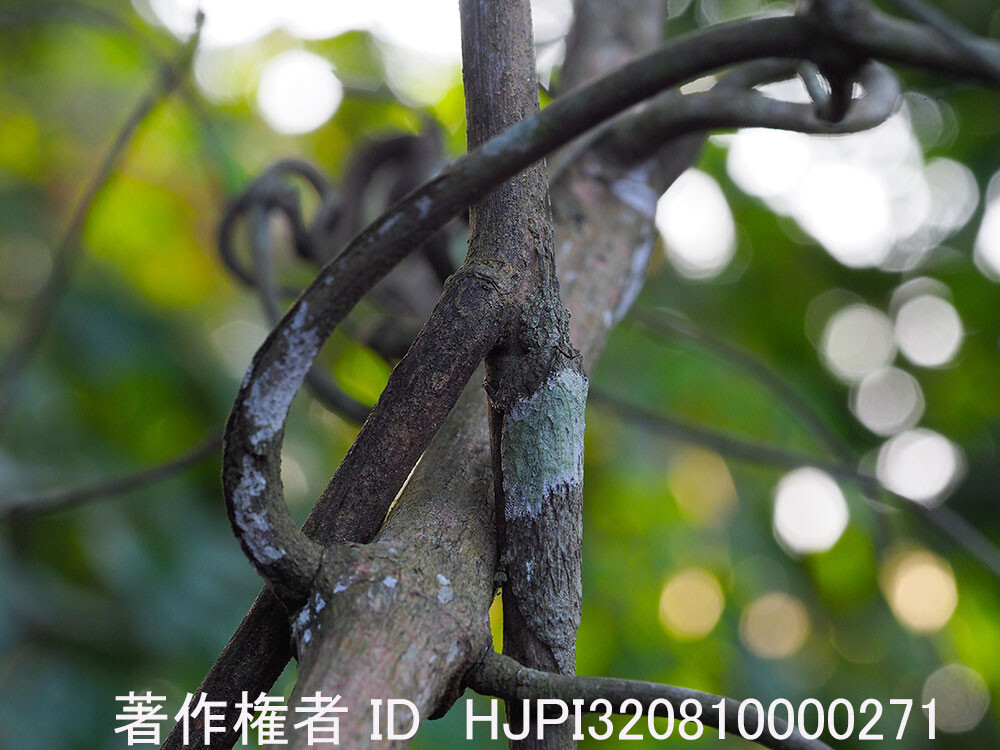 どこにいるかわかるかな？