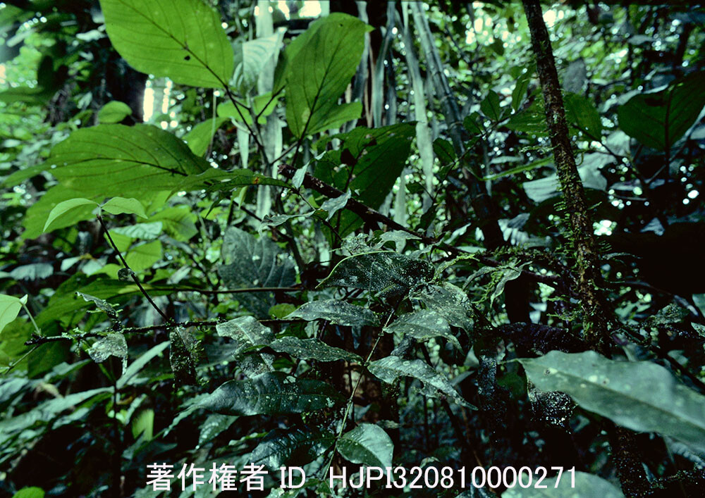 もう1枚クイズ。どこにいるかわかるかな？