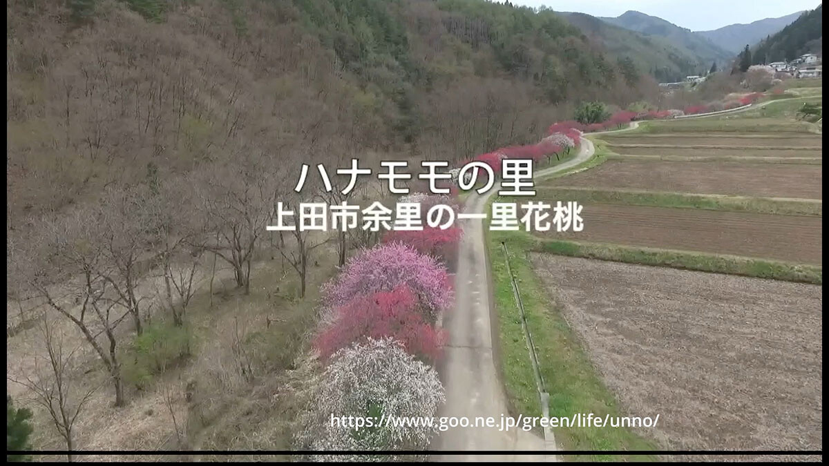 スローモーション映像作品