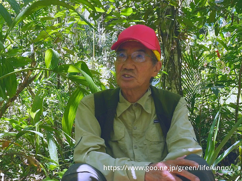 トリバネアゲハの世界（2023年制作作品）