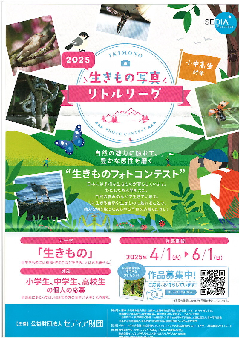 生き物写真リトルリーグ2025応募受付開始