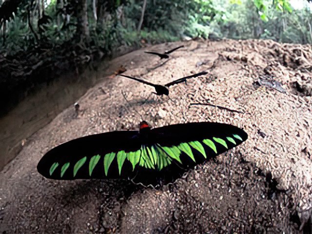 緑のgooが今月終了することになり小諸日記を続けることが
