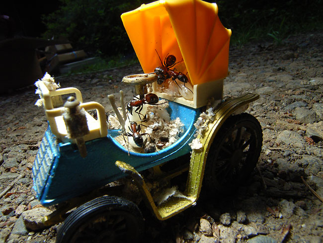 子供向けSF「蟻人の国へ」(雲南省での撮影期間・過去日記より)