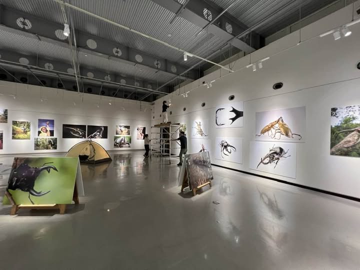 金津創作の森美術館で、展示作業中